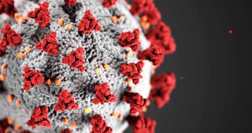 पछिल्लो २४ घण्टामा थप ९९ जनामा कोरोना संक्रमण पुष्टि