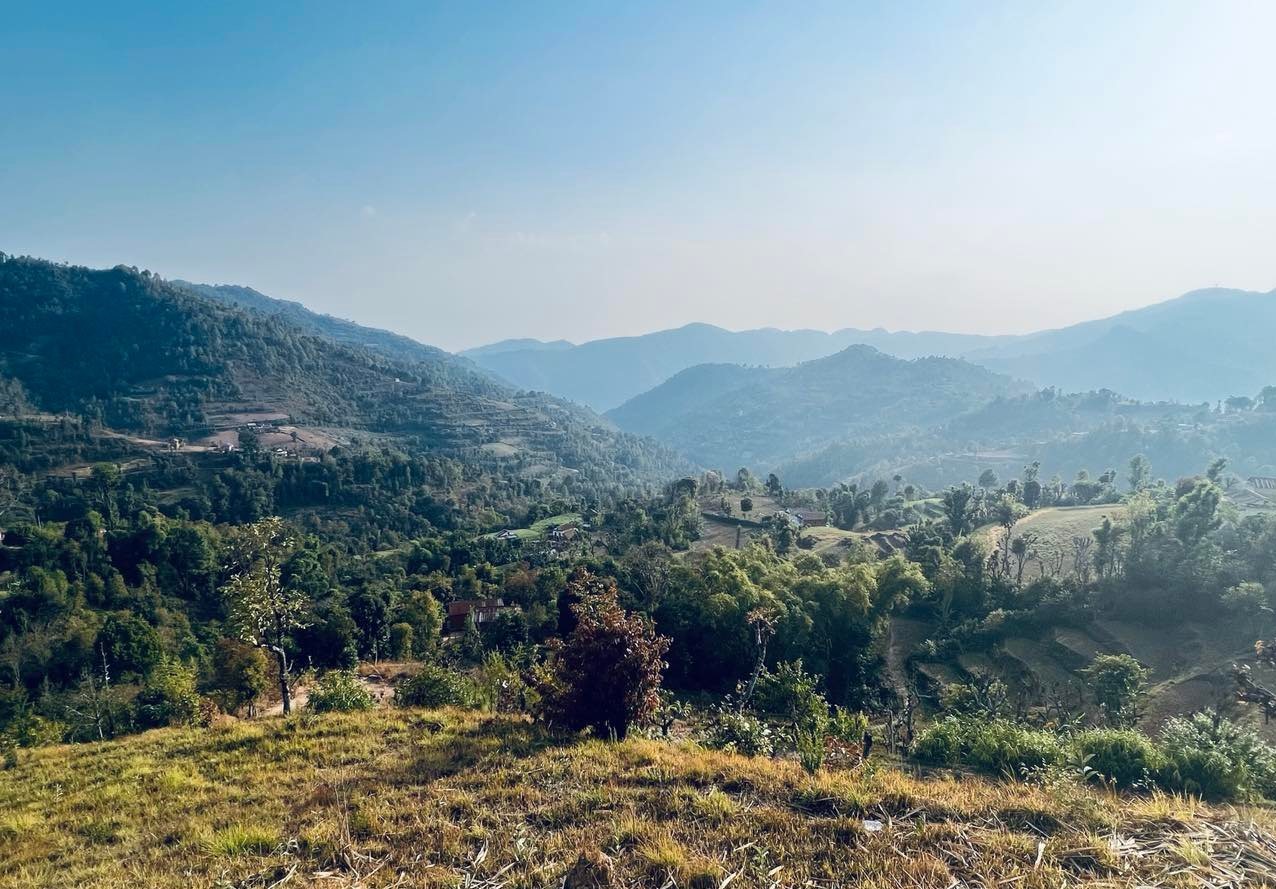 "मुक्तक "