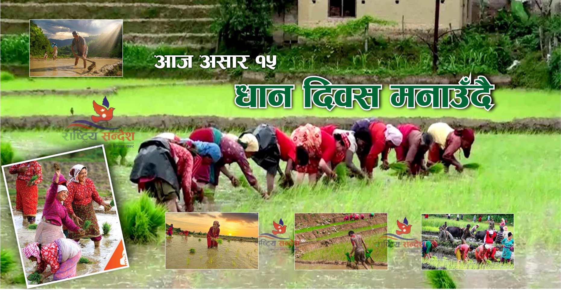 आज १५ असार, राष्‍ट्रीय धान दिवस, दही च्युरा खाएर मनाउँदै (फाेटोसहित)