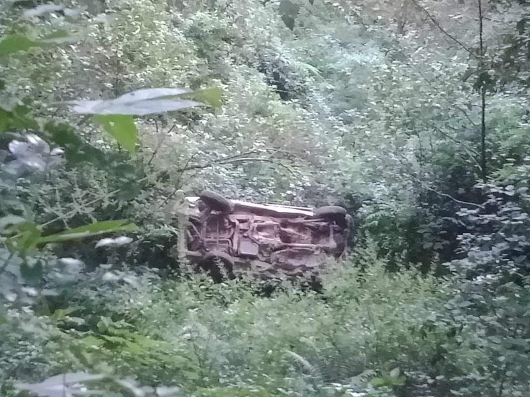 पाल्‍पामा अर्को दुर्घटना; पाल्पामा भ्यान दुर्घटना हुँदा ५ जना घाइते