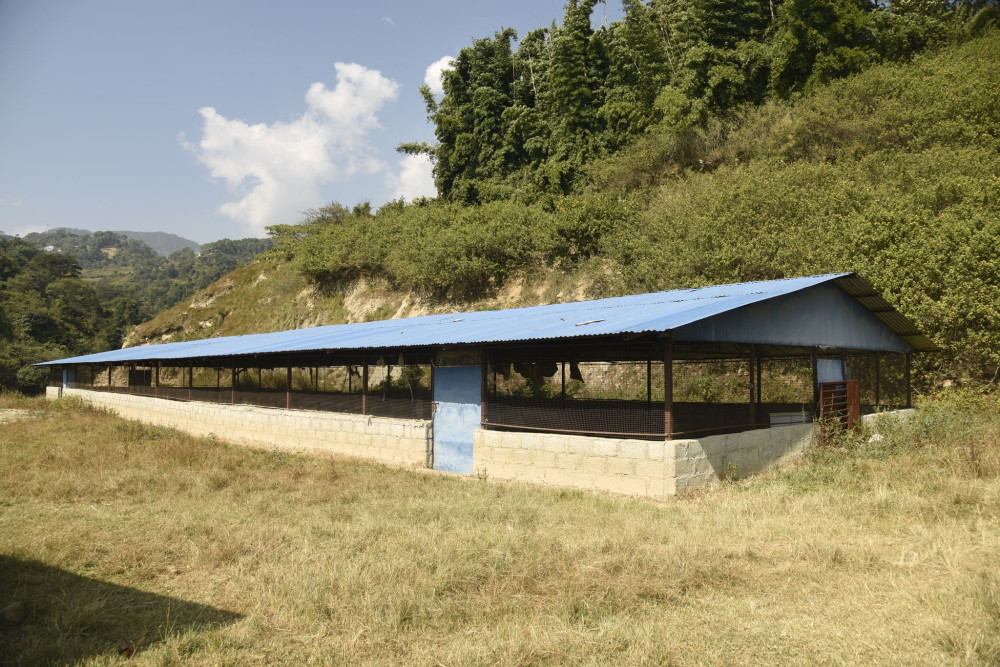 छाडा चौपाया व्यवस्थापन गर्न  काठमाडौं महानगरले ,दक्षिणकालीमा तयार गर्यो काञ्जी हाउस।