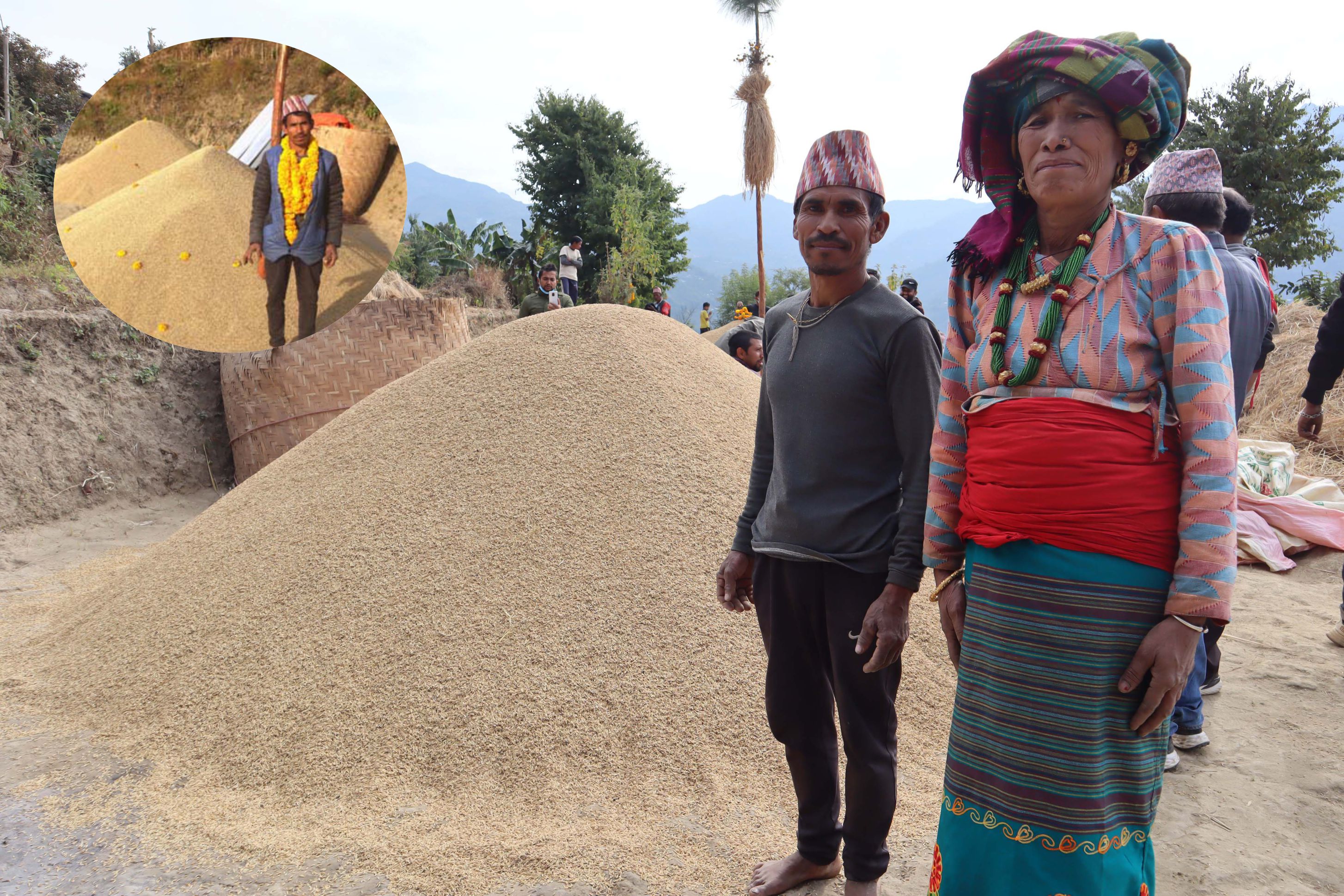 एक सय ६८ मुरी धान फलाएका कृषक दम्पतीलाई गाउँपालिकाले दियाे ५० हजार रुपैयाँ