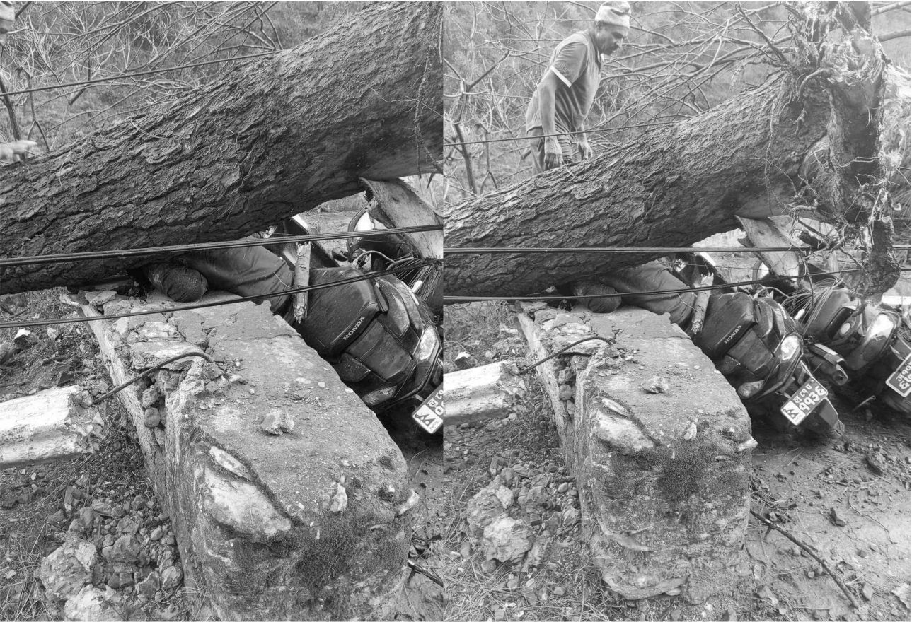 पाल्‍पामा हुरीले रुख पल्टाउँदा सडकमा गुडिरहेको स्कुटर चालकको मृत्‍यु