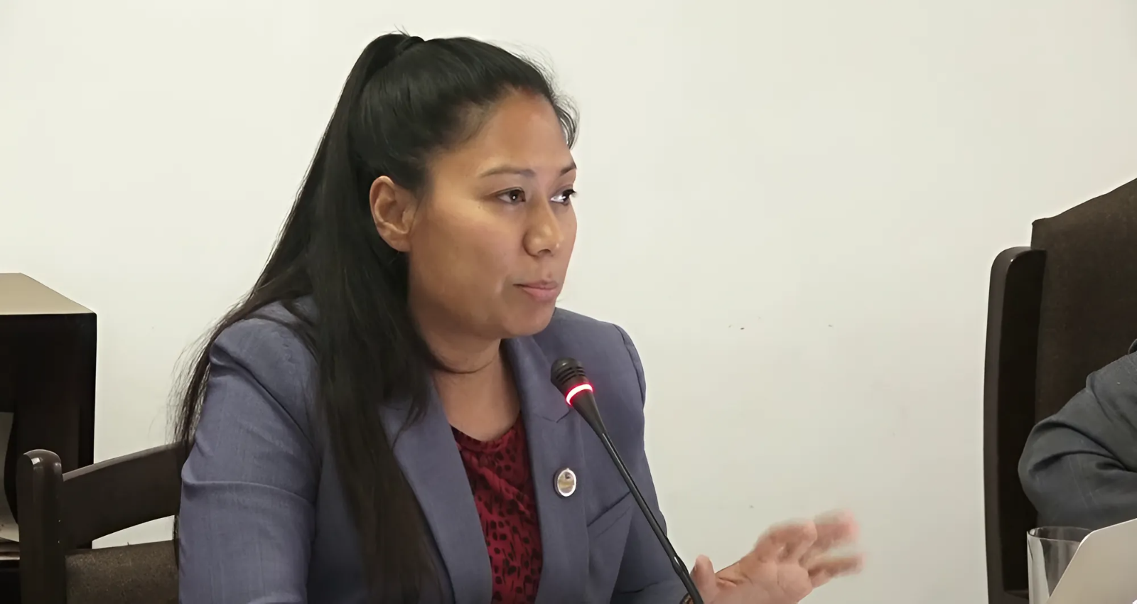 शिक्षामा दलीय राजनीतिकरण अन्त्य गरेरै छोड्छु : शिक्षा मन्त्री श्रेष्ठ