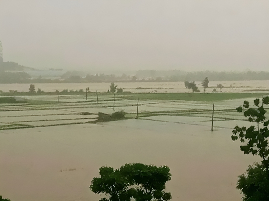 बाढी, पहिरोलगायतका विपद्‍मा परी ८८ जनाको मृत्यु,  १ सय ६ जना घाइते, ३ हजार ४६२ परिवार विस्थापित
