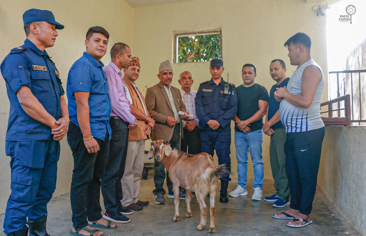 दसैंका लागि कैदीबन्दीलाई खसी र नगद