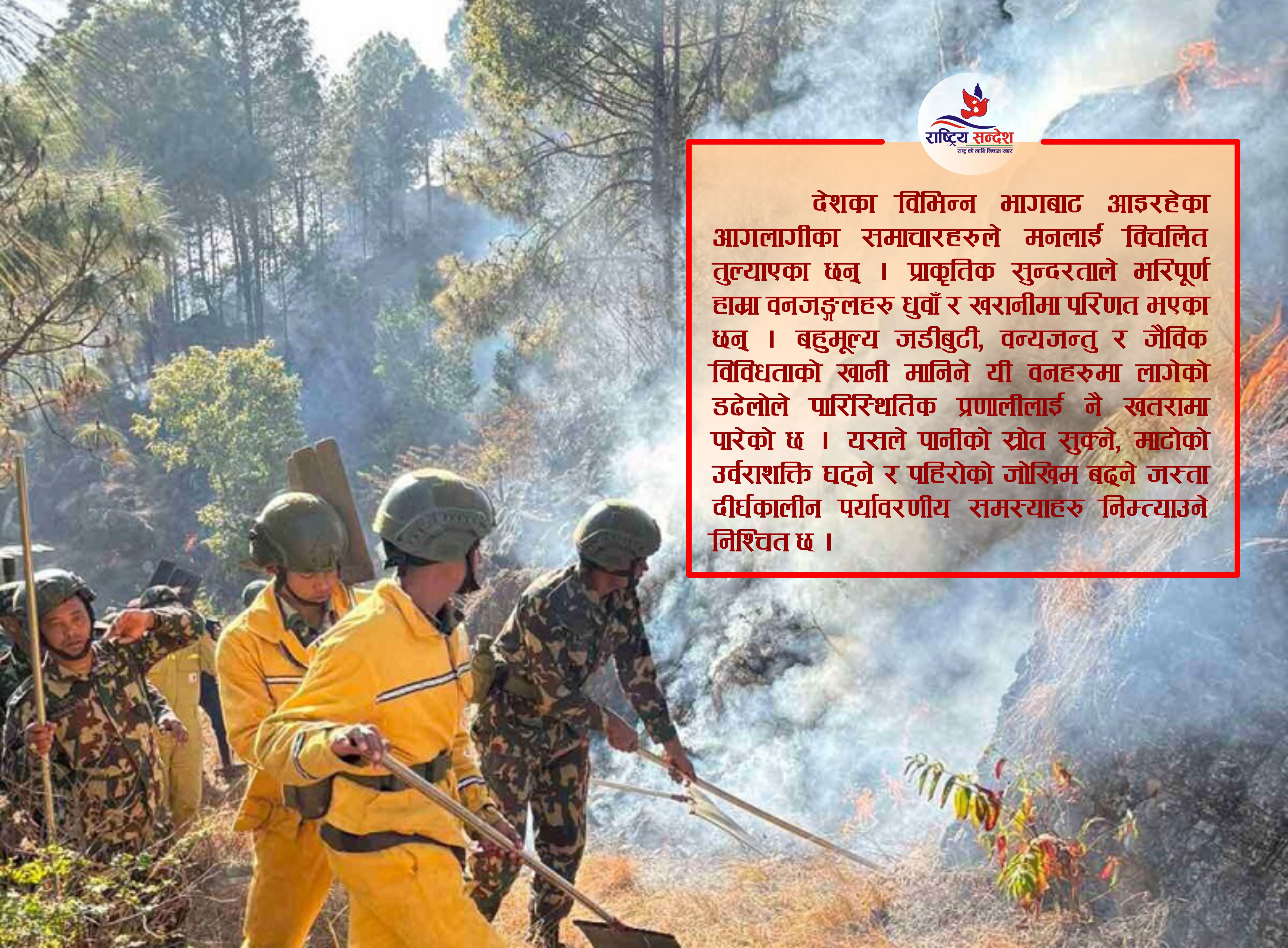 देशव्यापी आगलागी: बढ्दो जोखिम, व्यापक क्षति र जटिल चुनौतिहरू