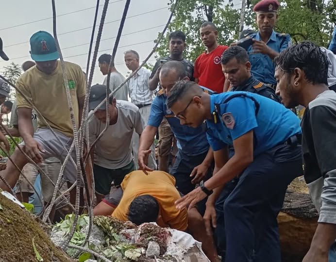 हावाहुरीले रुख ढल्दा च्यापिएर दुई जनाको मृत्यु