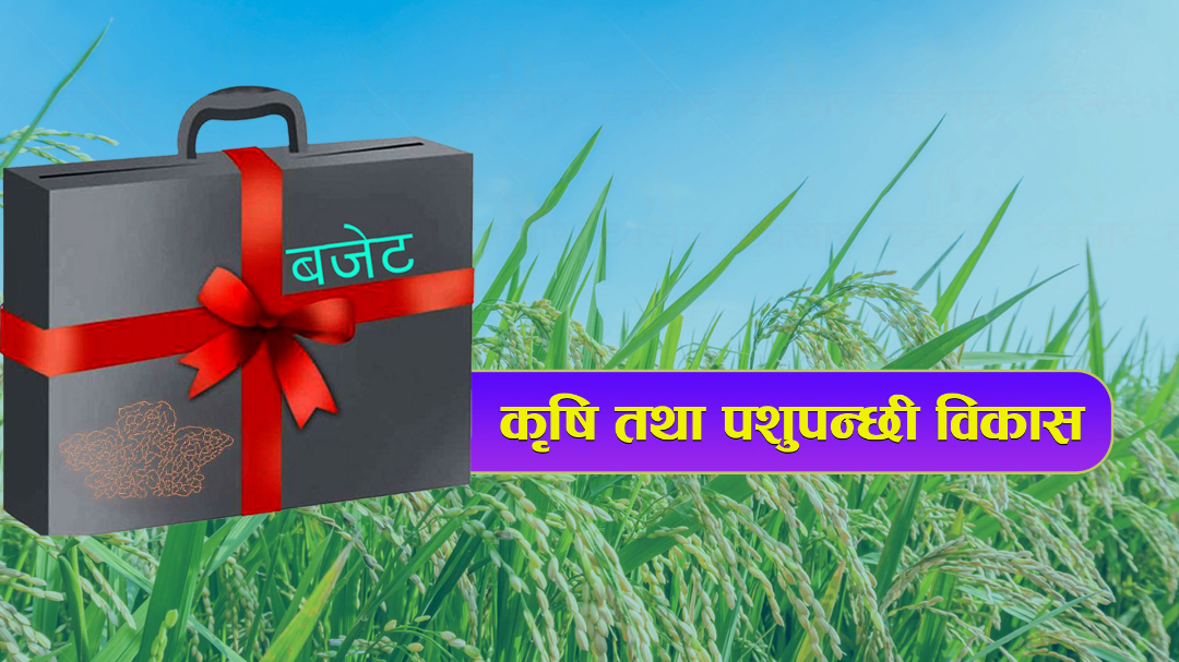 कृषि तथा पशुपन्छी विकासका लागि रु ५७ अर्ब ४८ करोड बजेट विनियोजन