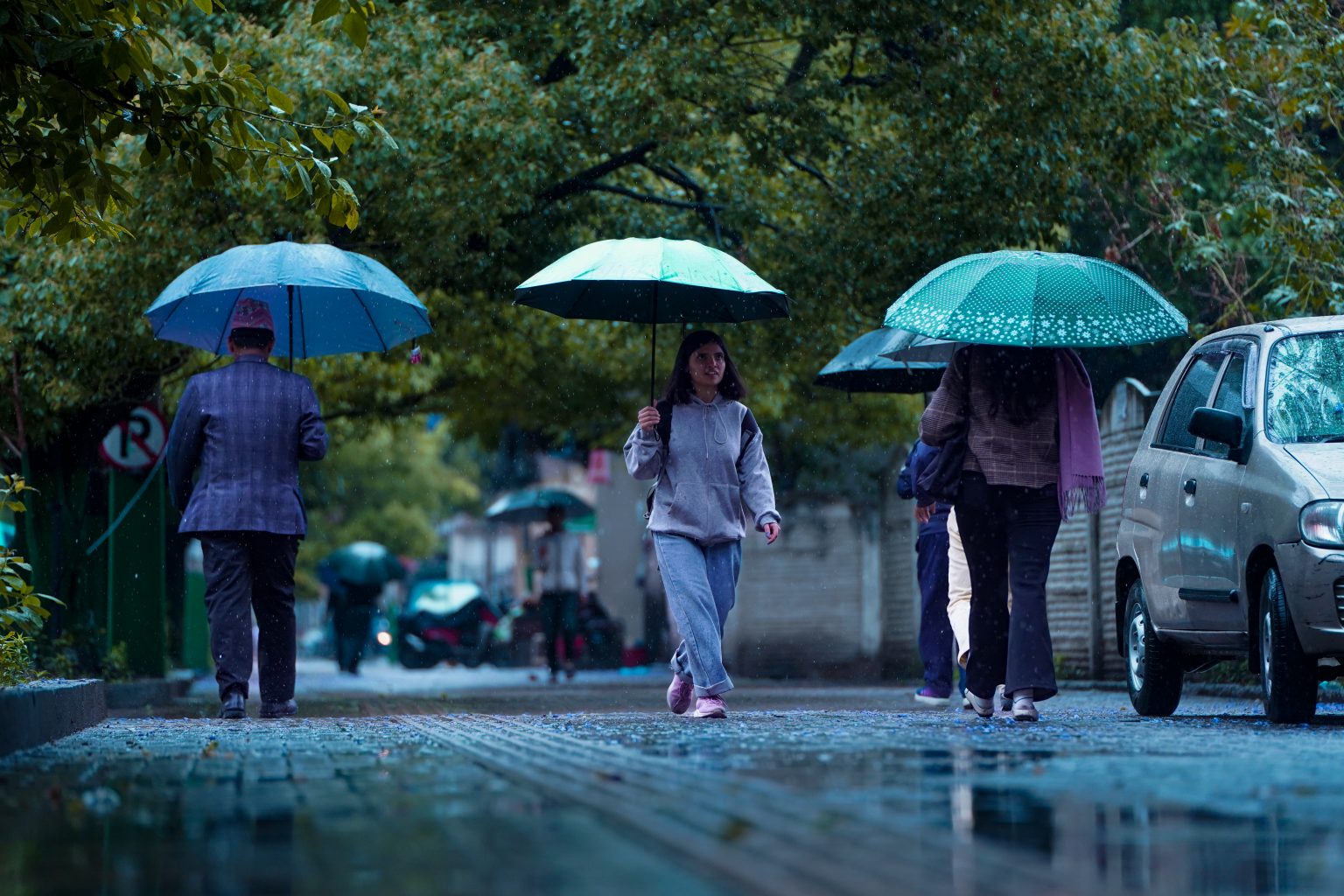 थप चार प्रदेशमा फैलियो मनसुन