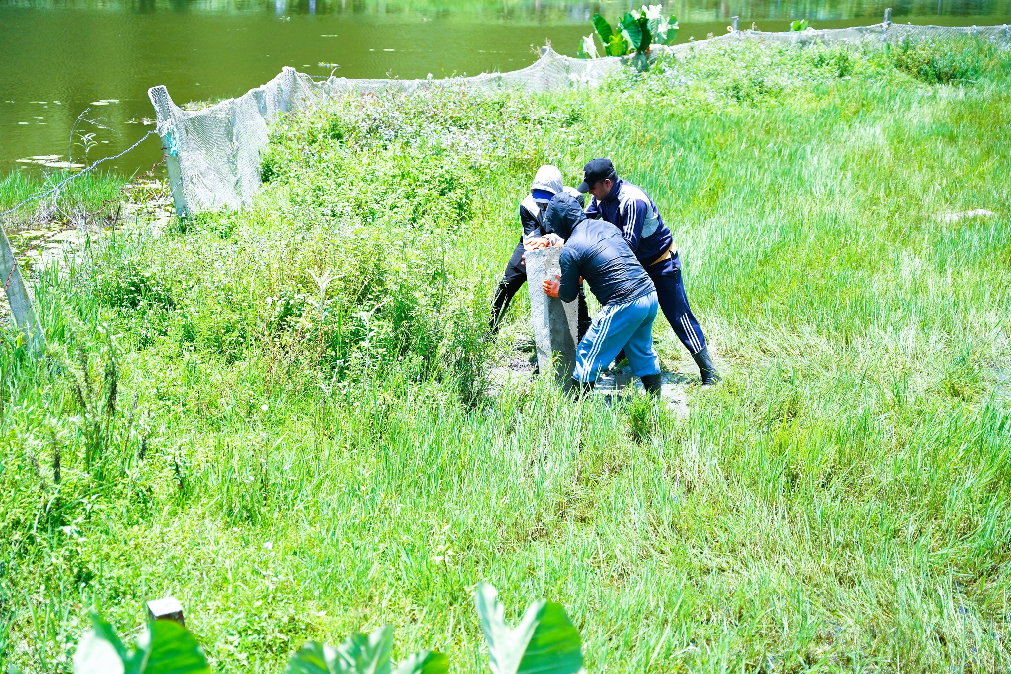 फेवाताल किनारमा ३६० सीमा स्तम्भ गाडिए