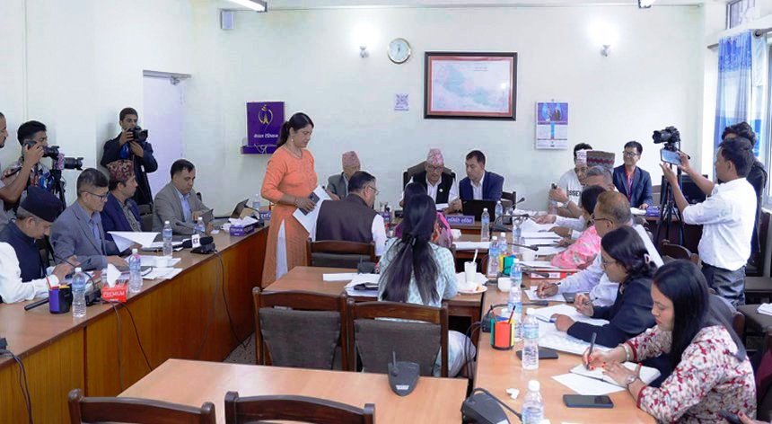 शिक्षा समितिमा बाल विकास शिक्षाको विषयमा सहमति