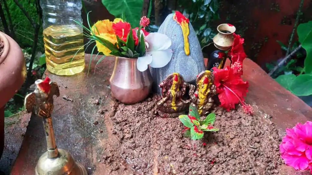 हरिशयनी एकादशी आज, तुलसीको बिरुवा सारिँदै