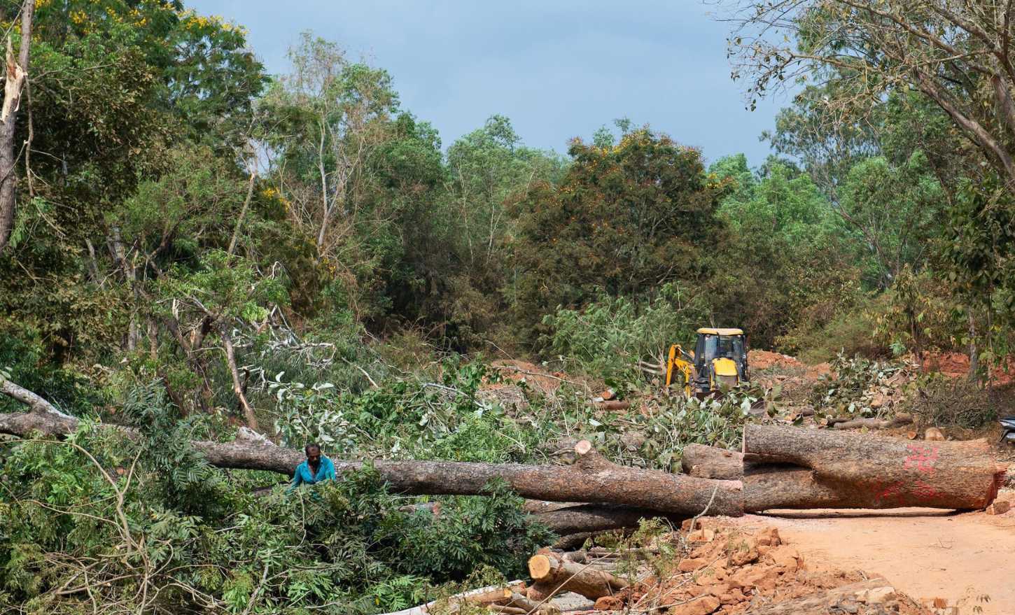 पश्चिम नवलपरासीमा सात सय ४६ हेक्टर क्षेत्रफल वन अतिक्रमण