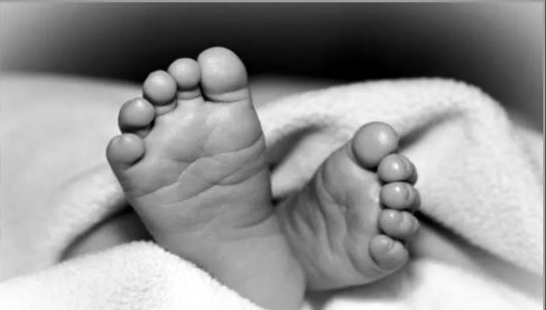 पाल्पामा स्क्रब टाइफसबाट १२ वर्षीया बालिकाको मृत्यु