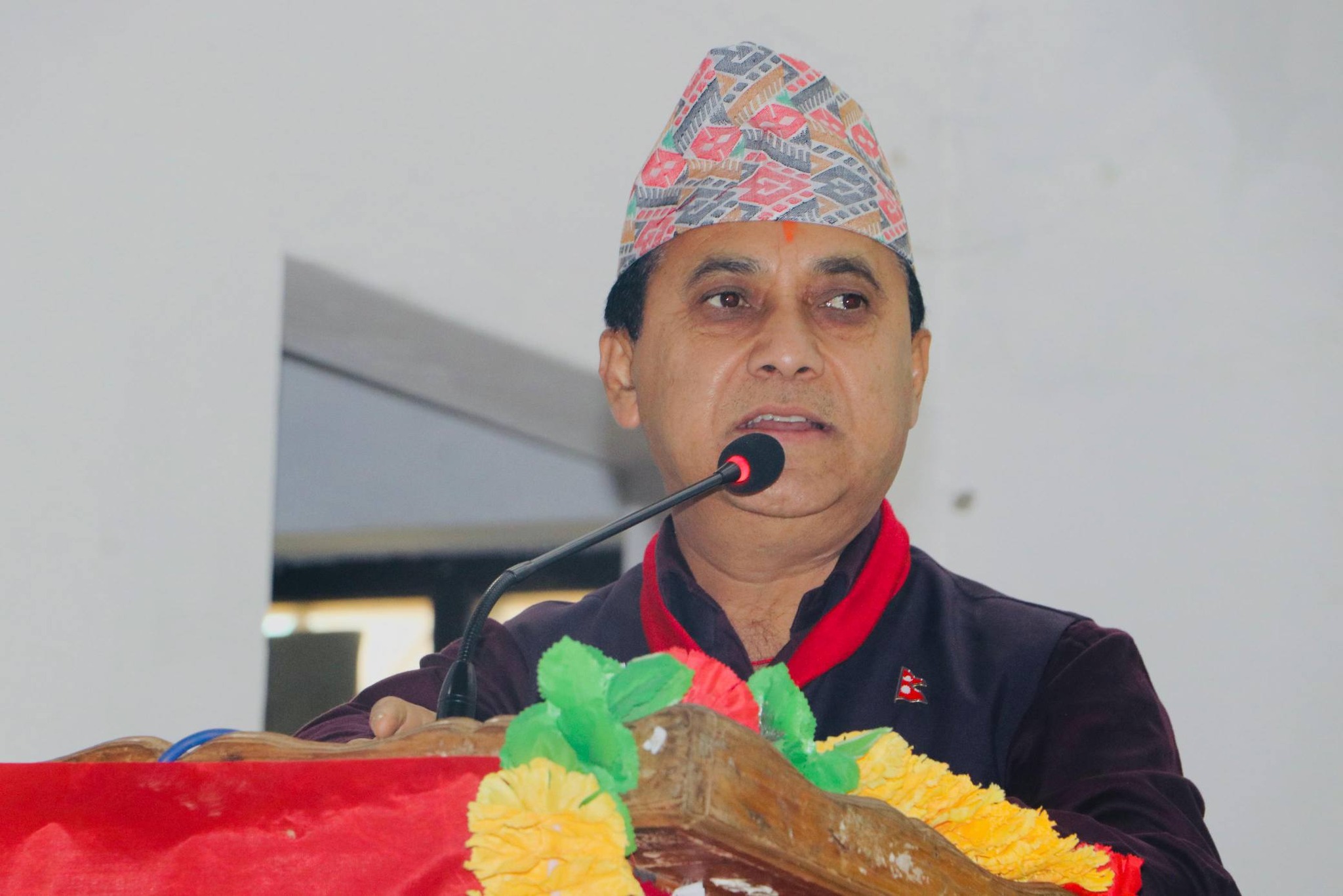 देश बदल्ने जनताको सपना अब कांग्रेसले साकार पार्छ : उपसभापति शर्मा
