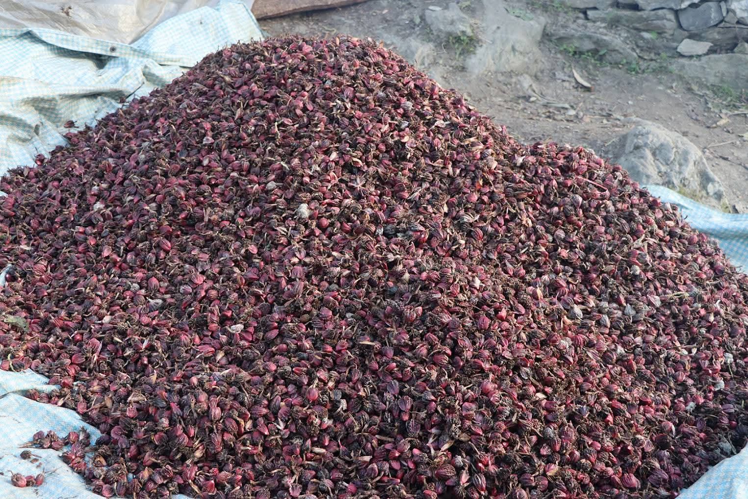 १० अर्ब ७० करोड बढीको अलैँची निर्यात