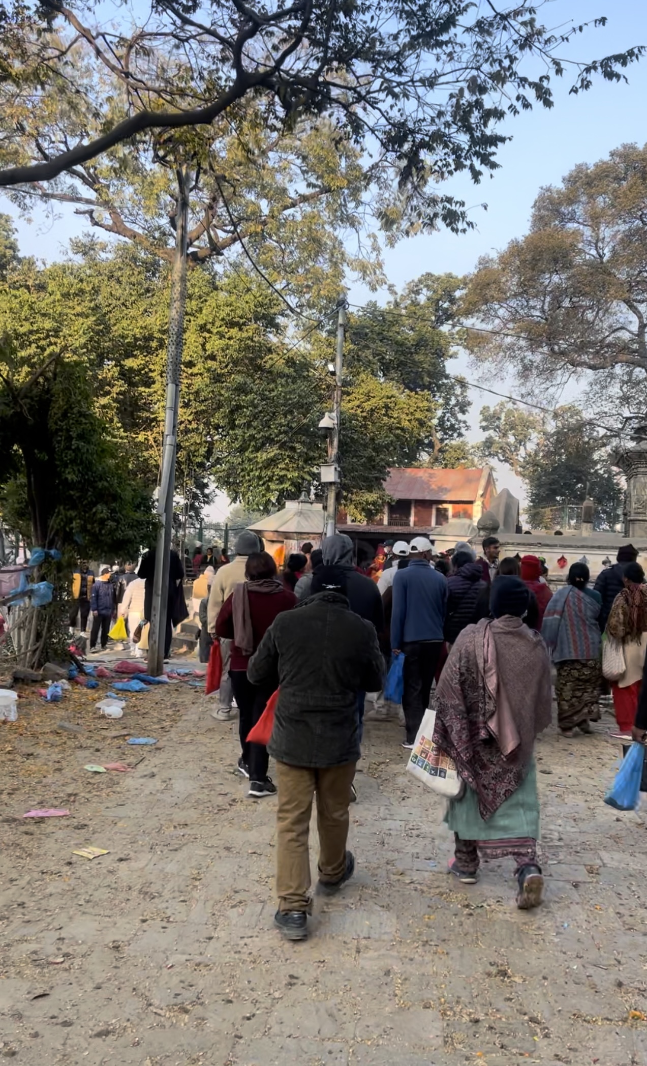 आज बाला चतुर्दशी ,शिवालयहरुमा शतबीज छर्नेको घुइचो।